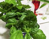 お豆腐にバジルソースかけ　ラズベリー添え作り方2写真
