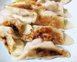 キャベツの焼き餃子作り方3写真