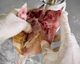 70℃ 本気の真鯛アクアパッツァ作り方11写真
