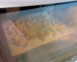 アクティブナッツ（発芽ナッツ）の作り方作り方4写真