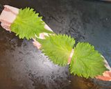 【簡単&絶品】3種の豚"薔薇"ロール串作り方3写真
