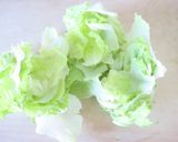 簡単手軽な【茹でレタスのオイソースがけ】作り方1写真
