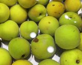 梅の甘露煮作り方1写真
