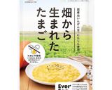 たまごを使わない本格フーチャンプルー作り方8写真
