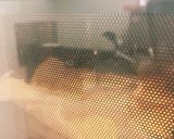 白玉粉パン作り方5写真