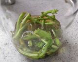 バジルソース作り方15写真