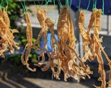 干しタケノコのメンマ　ラーメンにも合う！作り方6写真