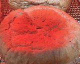 ふんわり♪ミロパン＊チョコココアパン作り方16写真