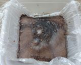 ココア米粉パン作り方5写真