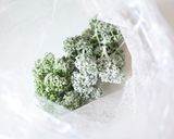 モリモリ食べられる【パセリの天ぷら】作り方2写真