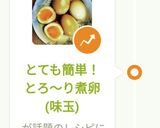 とても簡単!とろ~り煮卵(味玉)作り方5写真