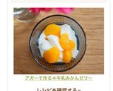 アガーで作る＊牛乳みかんゼリー作り方7写真