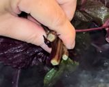 夏の風物詩　赤紫蘇ジュース　　手抜き編作り方2写真