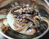 【料理の裏技・覚書】生タコの冷凍保存方法作り方4写真