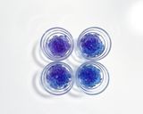 水彩あじさいゼリー作り方7写真