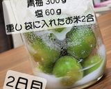 梅干し 梅酒 梅シロップ まとめ作り方3写真