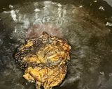 もずくの天ぷら作り方7写真