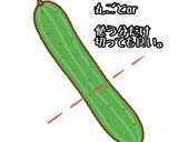 ちくわきゅうり 隙間のない入れ方 その②作り方2写真
