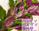 ハンダマーと豚肉の焼きそば作り方9写真