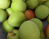 濃厚コクあり市販より旨☆ブランデーて梅酒作り方4写真
