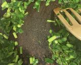 ニラ豚キムチもやし炒め 262作り方1写真
