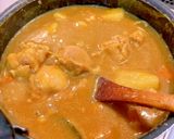 【カレー麹】【玄米酵母】発酵チキンカレー作り方7写真