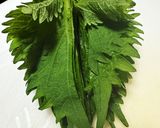 鶏むね肉と大葉の包まない餃子作り方1写真