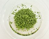 【季節の手仕事】実山椒の塩漬け作り方5写真
