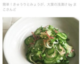 簡単！きゅうりとみょうが、大葉の浅漬け作り方14写真