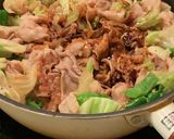 簡単　ザ・豚ミソ　ホイコーロー　回鍋肉作り方16写真