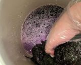 梅干し日記作り方16写真