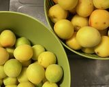 梅干し日記作り方19写真