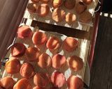 梅干し日記作り方44写真