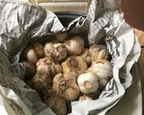 黒ニンニク作り方2写真