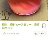 簡単　赤紫蘇ジュースの素　夏の疲れに効く作り方22写真
