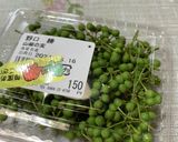 山椒　実　下処理　あくぬき作り方1写真