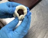 山帰来もち（地域の田植え餅のひとつ）作り方3写真