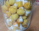 塩分１５％の梅干し作り♡作り方11写真
