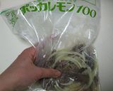 かったさんちのさっぱりアジアンサラダ作り方5写真