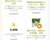 豚キムチチャーハン 270作り方19写真