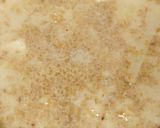 カリフラワーと豆腐のごま豆乳スープ作り方4写真
