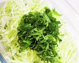 キャベツと大葉の無限さっぱりのやーつ作り方2写真