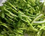 残った麻婆リメイク!豆苗無限!作り方1写真