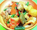 鶏肉とじゃがいもと 根菜と厚揚げの煮物作り方10写真