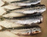 味しみしみ！ほろほろイワシとオクラの梅煮作り方3写真