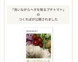 洗いながらヘタを取るプチトマト作り方6写真