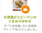 ☆厚揚げとピーマンのごまみそ炒め☆作り方9写真