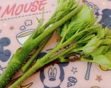 ウドご飯作り方1写真