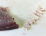 イサキの熟成1週間寝かせ炙り簡単昆布〆風作り方9写真