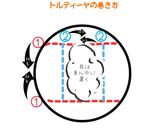ウインナーのトルティーヤ巻き作り方4写真